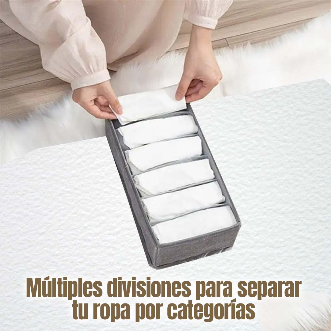 GABETA ORGANIZADORA CON DIVISIONES 🎁PROMO 2 UNDIADES🎁