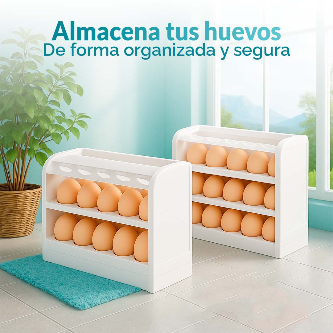 Caja de liquidación - Hogar y organización