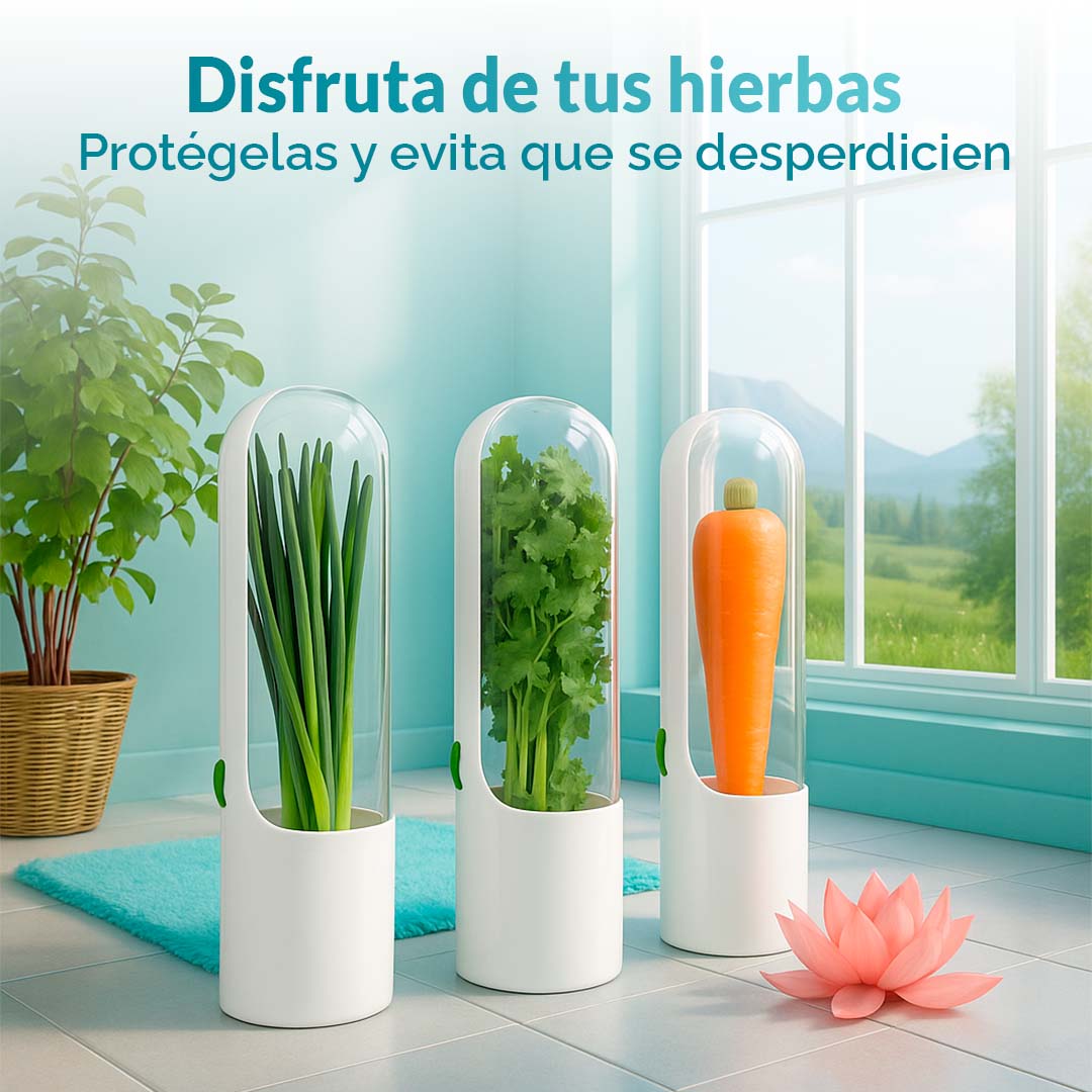 Caja de liquidación - Hogar y organización