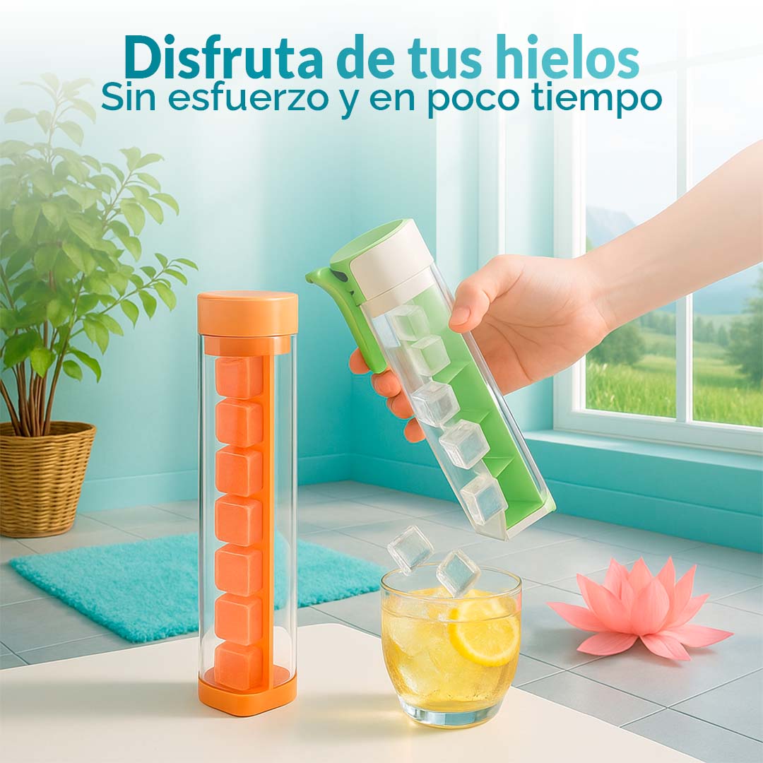 Caja de liquidación - Hogar y organización
