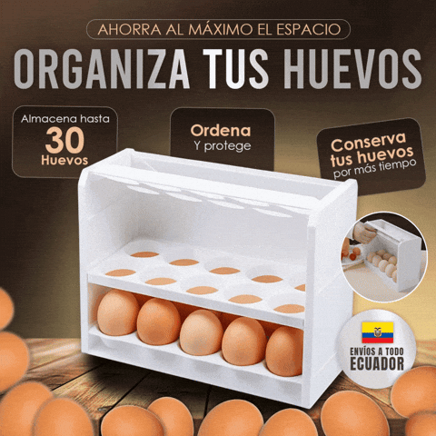 CAJA DE ALMACENAMIENTO DE HUEVOS 🎁ENVÍO GRATIS🎁