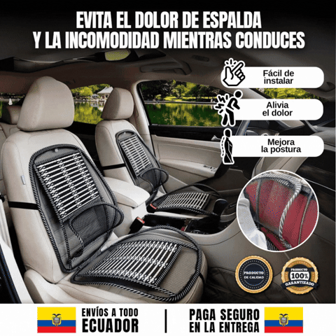 RESPALDO PARA ASIENTO DE AUTO CON SOPORTE LUMBAR 🎁ENVÍO GRATIS🎁