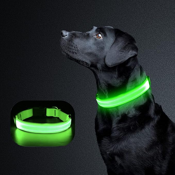 Collar Luminoso Perro de Mascota, Collar Recargable 3 Modos y Collares LED- TALLA L