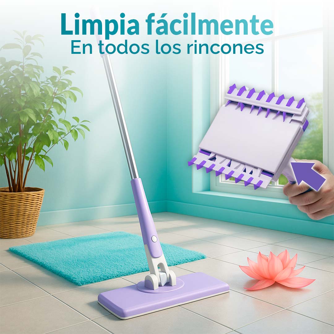 Caja de liquidación - Hogar y organización