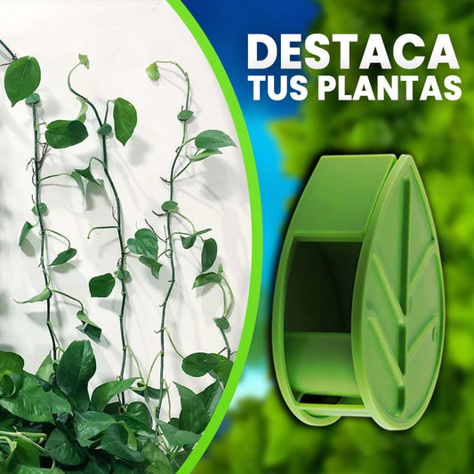 PLANTCLIPS |CLIPS ADHESIVOS PARA PLANTAS TREPADORAS 🎁PROMO 5O CLIPS🎁