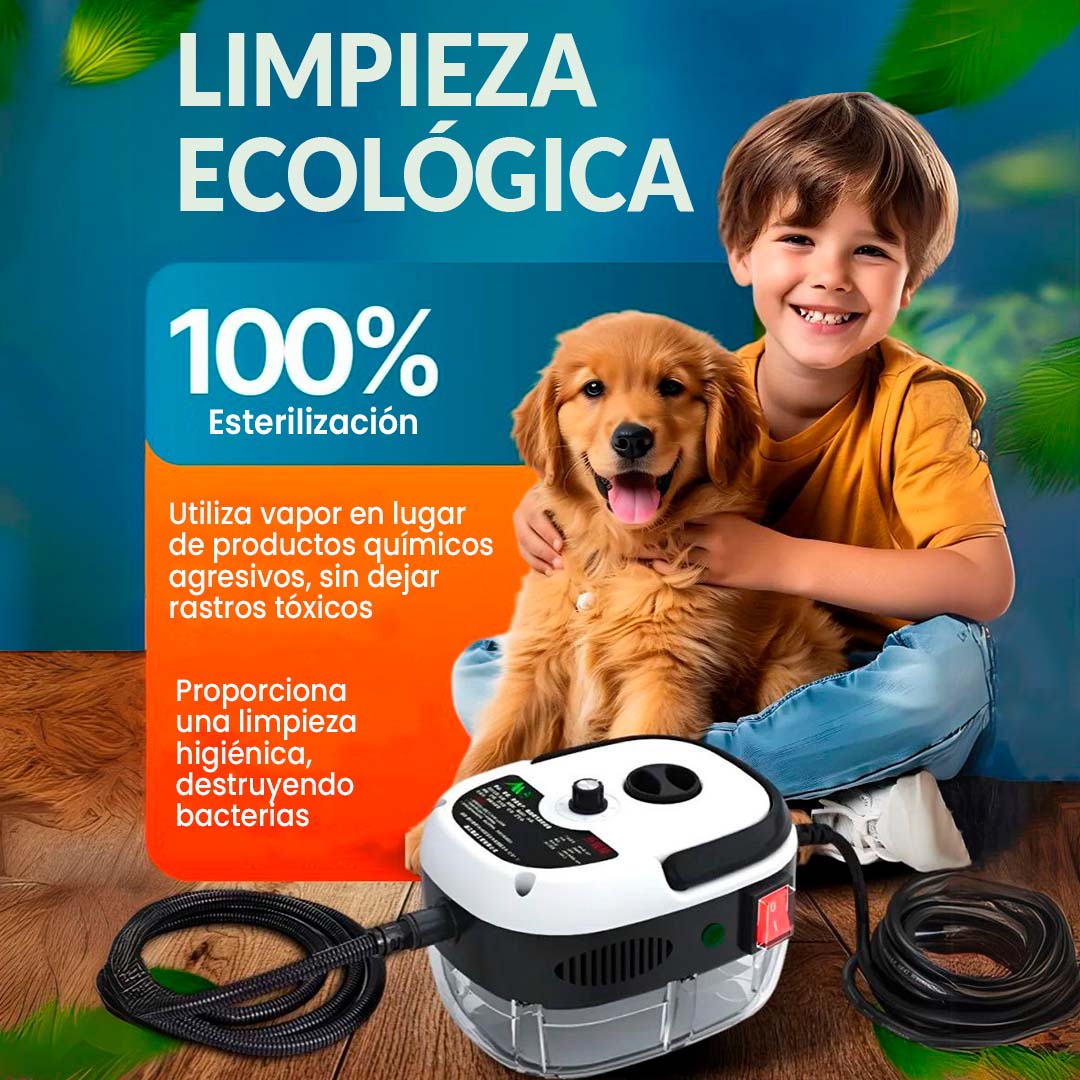 MAQUINA DE VAPOR PORTATIL PARA LIMPIEZA (vehiculos, cocina y baños)