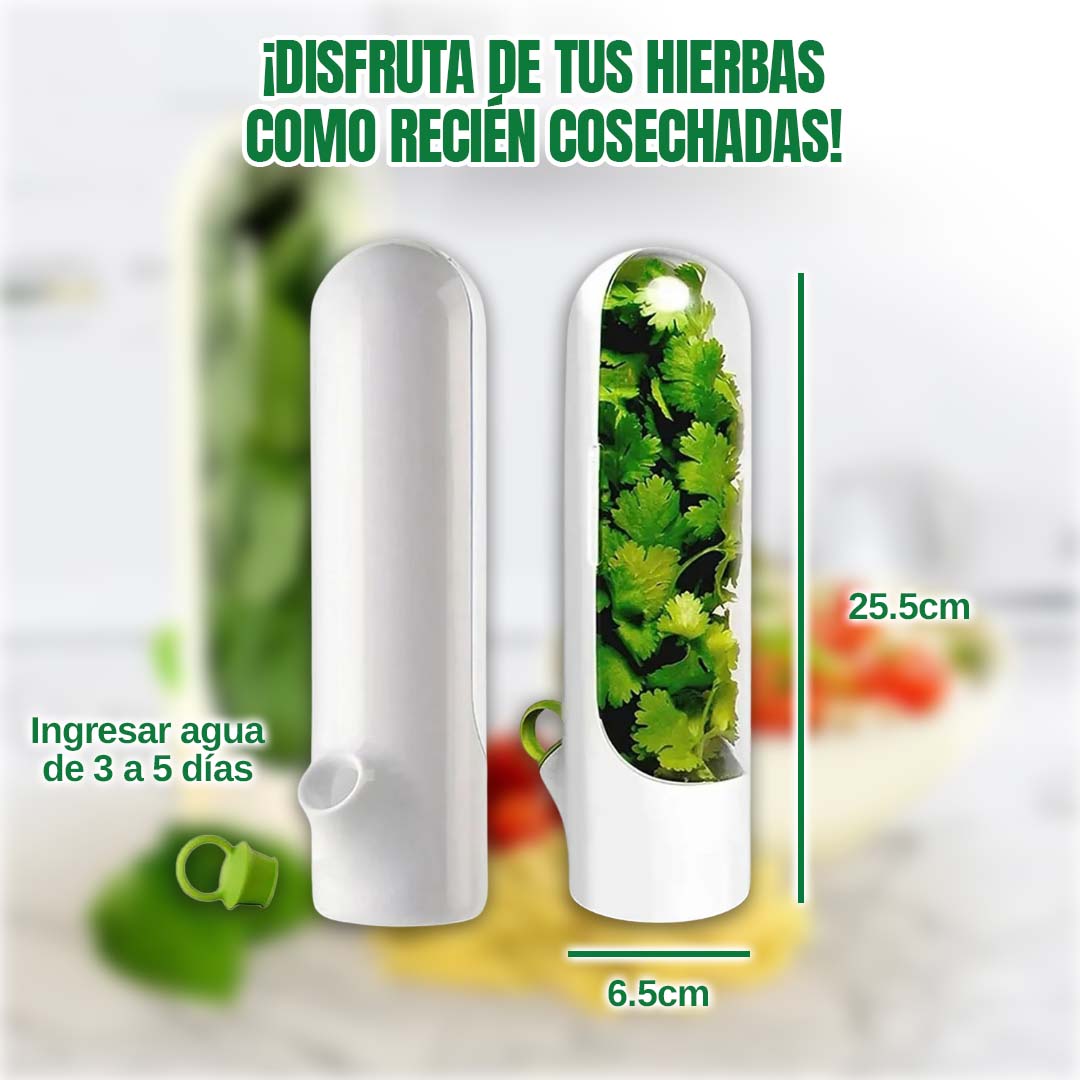 🎁PROMO 2X1🎁CONTENEDOR DE HIERBAS FRESCAS