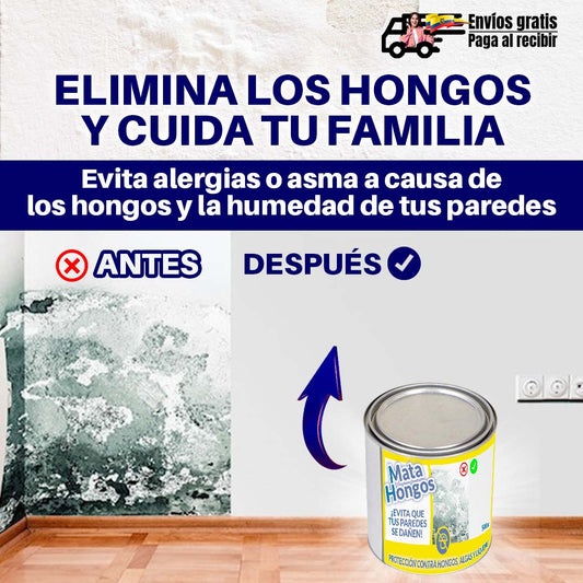 ELIMINA HONGOS EN PAREDES CON HUMEDAD 1/2 Litro?? EFECTIVIDAD GARANTIZADA