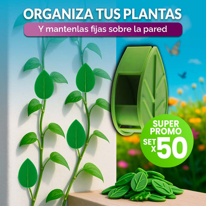Caja de liquidación - Jardinería y exteriores
