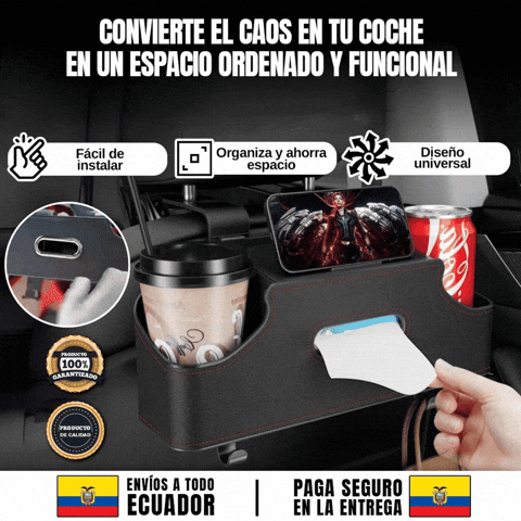 ORGANIZADOR DE CABECERA DE AUTO 🎁ENVÍO GRATIS🎁